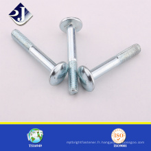 Formulaire d&#39;expédition China Good Price Carriage Bolt and Nut